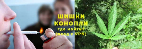 PSILOCYBIN Пересвет