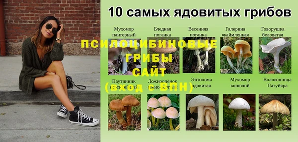 альфа пвп Заречный