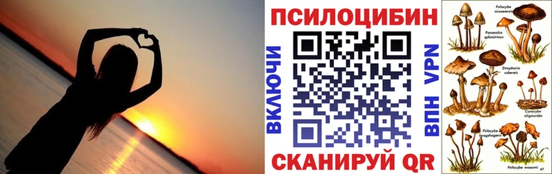 Псилоцибиновые грибы GOLDEN TEACHER  blacksprut ТОР  Аркадак  наркошоп 